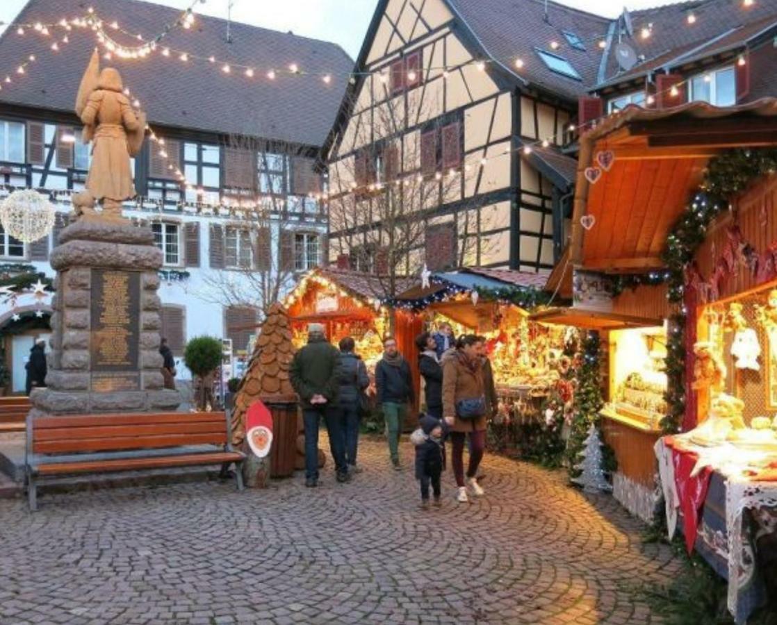 Fleur De Vigne Lägenhet Eguisheim Exteriör bild