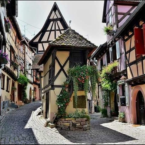 Fleur De Vigne Lägenhet Eguisheim Exteriör bild