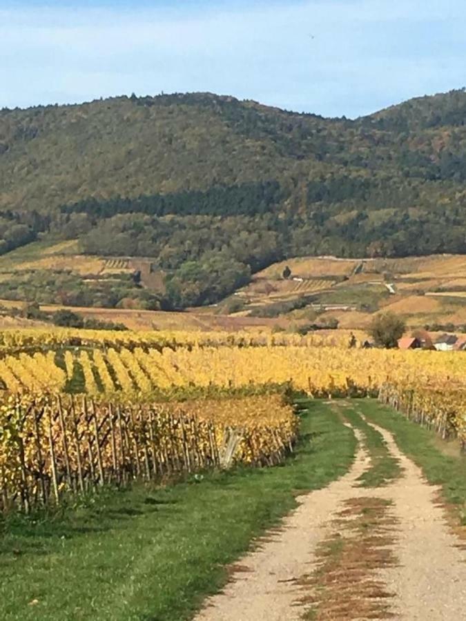 Fleur De Vigne Lägenhet Eguisheim Exteriör bild