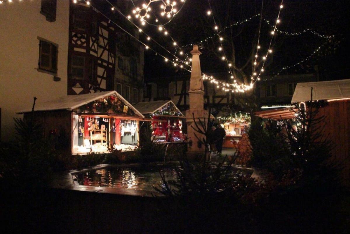 Fleur De Vigne Lägenhet Eguisheim Exteriör bild