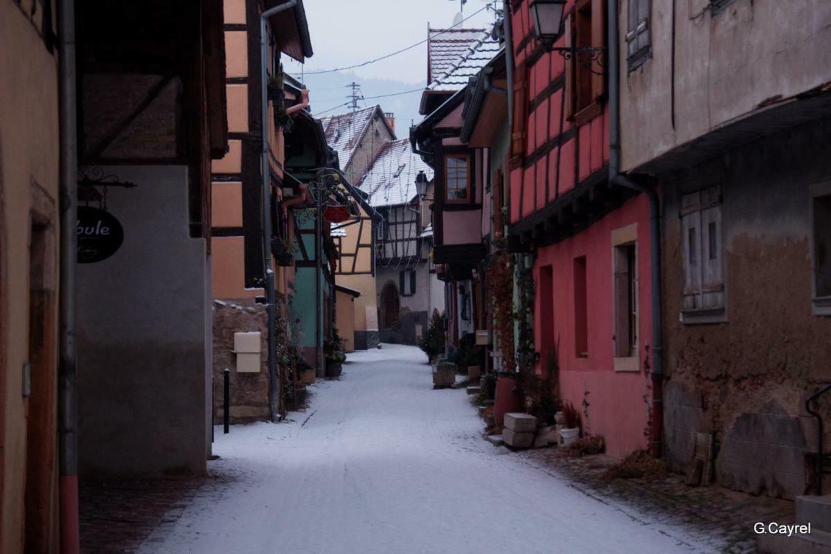 Fleur De Vigne Lägenhet Eguisheim Exteriör bild