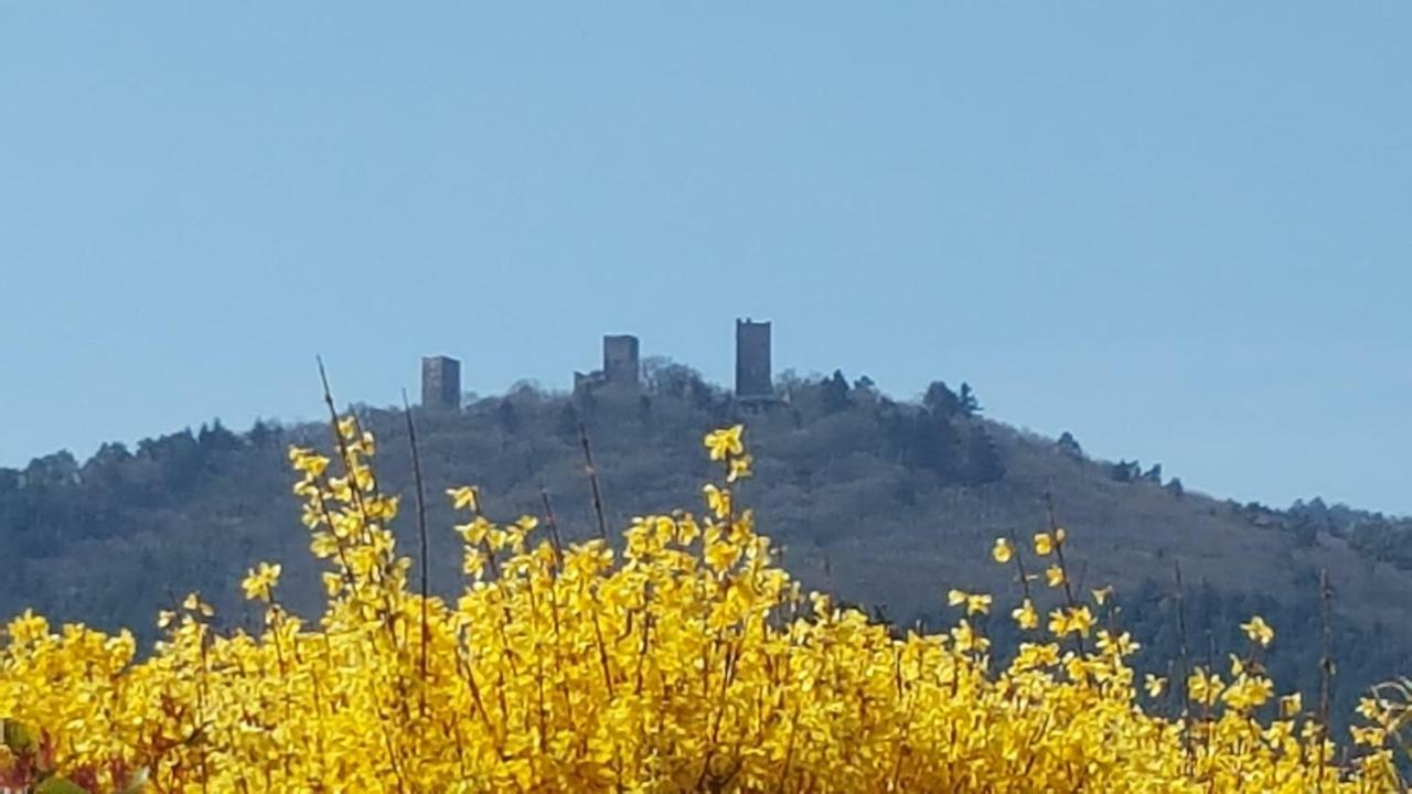 Fleur De Vigne Lägenhet Eguisheim Exteriör bild