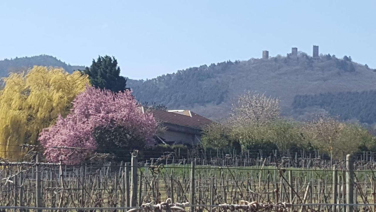 Fleur De Vigne Lägenhet Eguisheim Exteriör bild