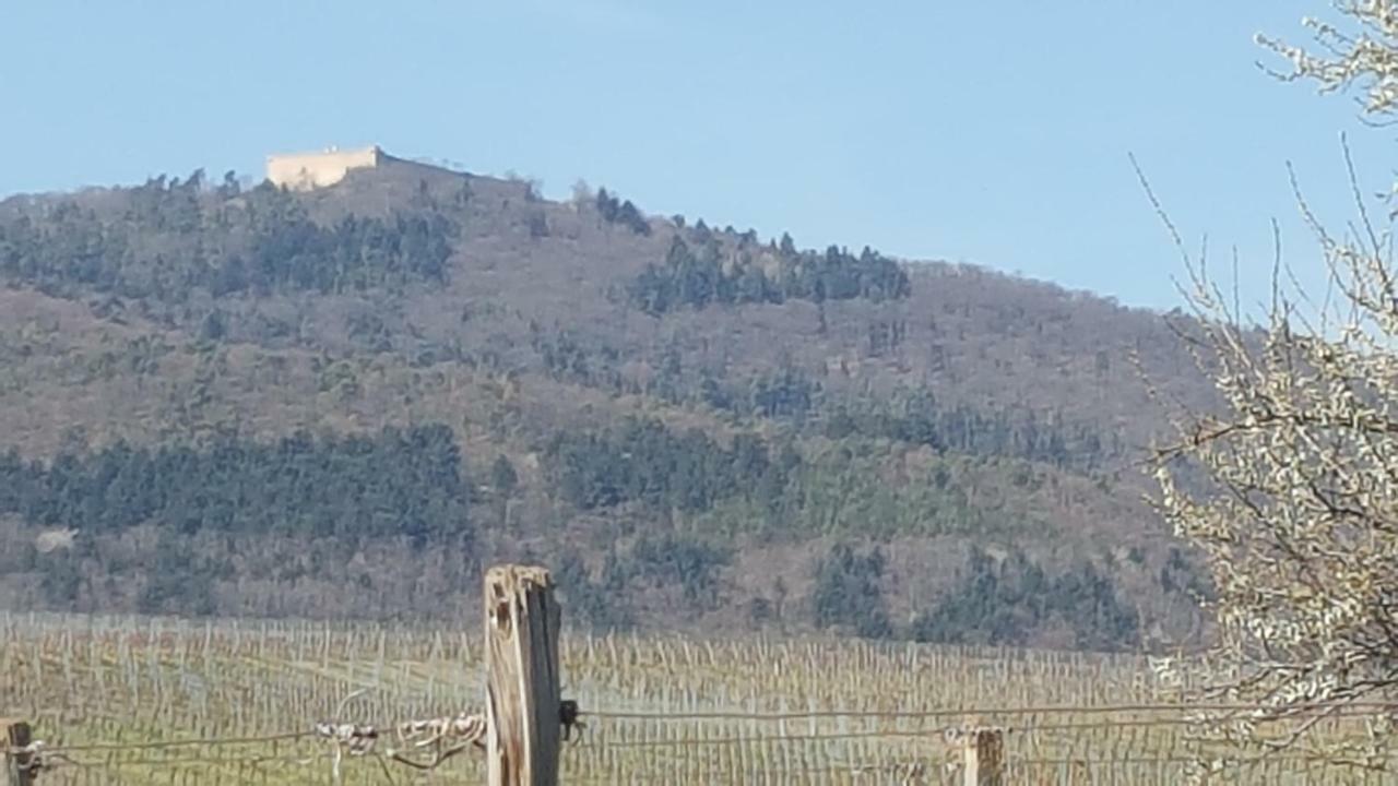 Fleur De Vigne Lägenhet Eguisheim Exteriör bild